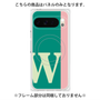 プレミアムパネル with Pixelsnap［ オリジナル - initial color line - W green ］