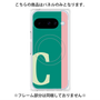 プレミアムパネル with Pixelsnap［ オリジナル - initial color line - C green ］