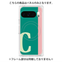 プレミアムパネル with Pixelsnap［ オリジナル - initial color line - C green ］