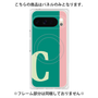 プレミアムパネル with Pixelsnap［ オリジナル - initial color line - C green ］