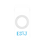 プレミアムパネル with Pixelsnap［ オリジナル - ESTJ 幹部 - アルファベット ］