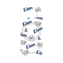 プレミアムパネル with Pixelsnap［ 埼玉西武ライオンズ- 総柄 ］