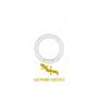 プレミアムパネル with Pixelsnap［ &UCHINOCO - レオパードゲッコー2 ］