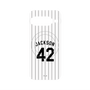 プレミアムパネル with Pixelsnap［ 千葉ロッテマリーンズ - #42 JACKSON ］