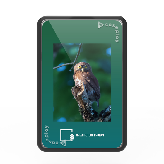 プレミアムカードウォレット［ Green Future Project - Ferruginous Pygmy Owl ］