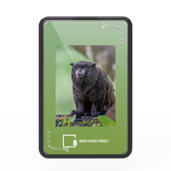 プレミアムカードウォレット［ Green Future Project - Black-mantled Tamarin ］