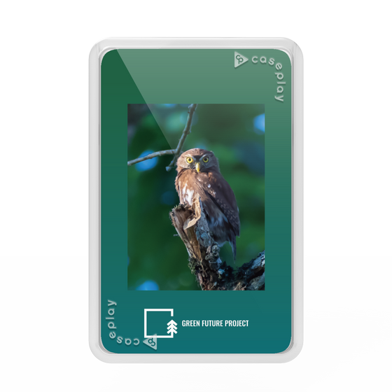 プレミアムカードウォレット［ Green Future Project - Ferruginous Pygmy Owl ］