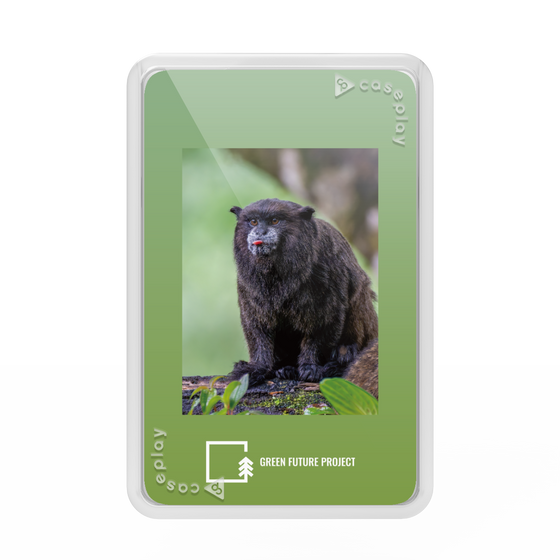 プレミアムカードウォレット［ Green Future Project - Black-mantled Tamarin ］