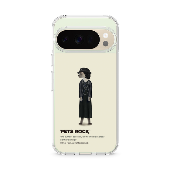 スリムプロテクションケース［ PETS ROCK - Paris ］