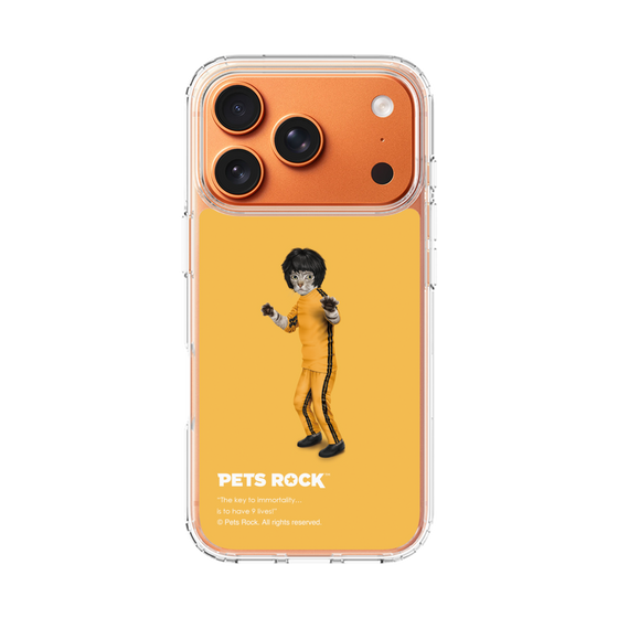 スリムプロテクションケース［ PETS ROCK - Kung Fu ］