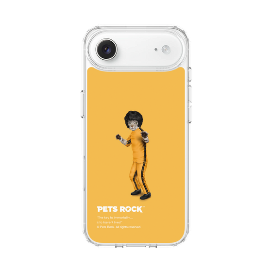 スリムプロテクションケース［ PETS ROCK - Kung Fu ］