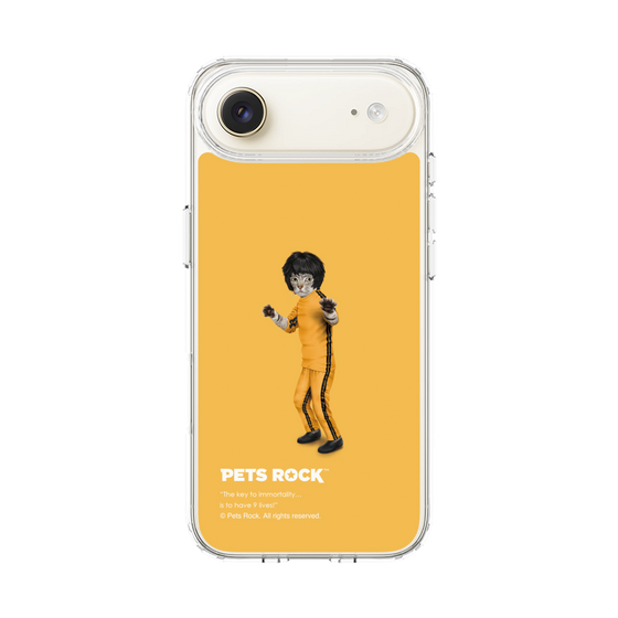 スリムプロテクションケース［ PETS ROCK - Kung Fu ］