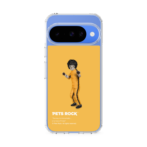 スリムプロテクションケース［ PETS ROCK - Kung Fu ］