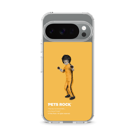 スリムプロテクションケース［ PETS ROCK - Kung Fu ］