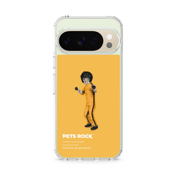 スリムプロテクションケース［ PETS ROCK - Kung Fu ］
