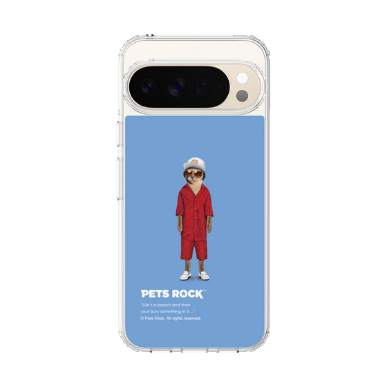 スリムプロテクションケース［ PETS ROCK - Mr Mercury ］