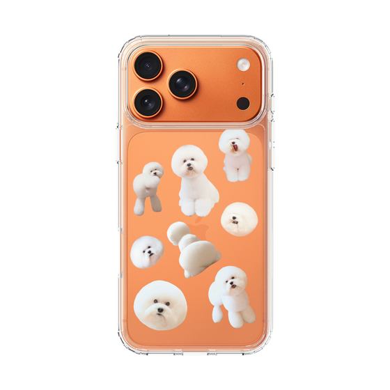 スリムプロテクションケース［ しらすがいっぱい Design CASE ］