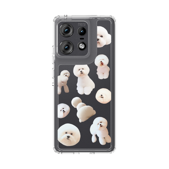 スリムプロテクションケース［ しらすがいっぱい Design CASE ］
