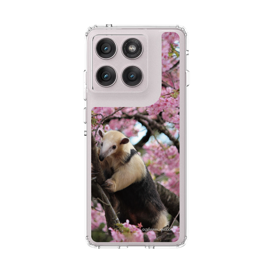 スリムプロテクションケース［ 伊豆アニマルキングダム - アリクイ ］