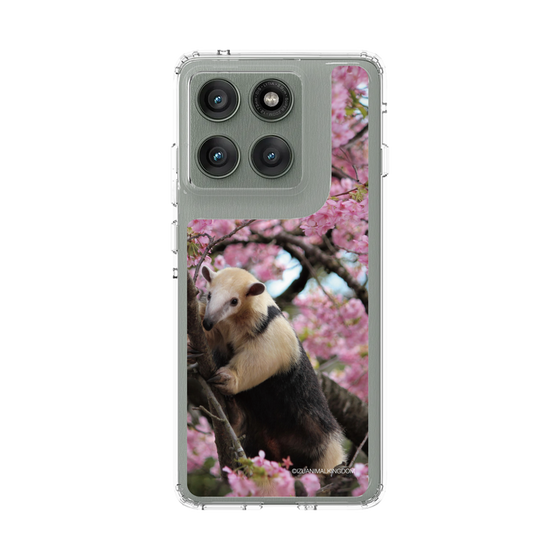 スリムプロテクションケース［ 伊豆アニマルキングダム - アリクイ ］