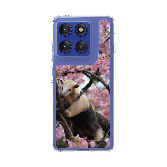 スリムプロテクションケース［ 伊豆アニマルキングダム - アリクイ ］