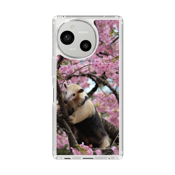 スリムプロテクションケース［ 伊豆アニマルキングダム - アリクイ ］