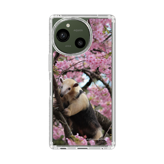 スリムプロテクションケース［ 伊豆アニマルキングダム - アリクイ ］