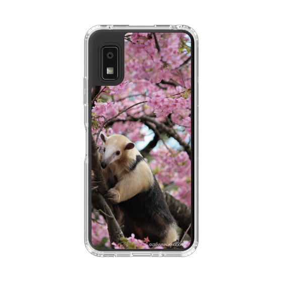 スリムプロテクションケース［ 伊豆アニマルキングダム - アリクイ ］