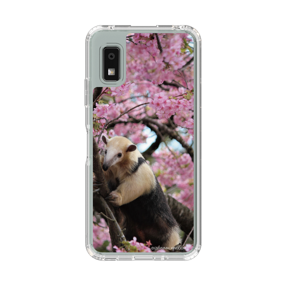 スリムプロテクションケース［ 伊豆アニマルキングダム - アリクイ ］