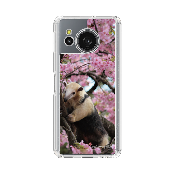 スリムプロテクションケース［ 伊豆アニマルキングダム - アリクイ ］