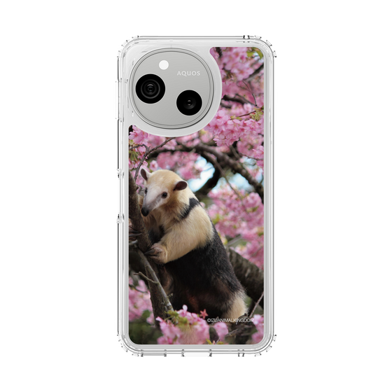 スリムプロテクションケース［ 伊豆アニマルキングダム - アリクイ ］