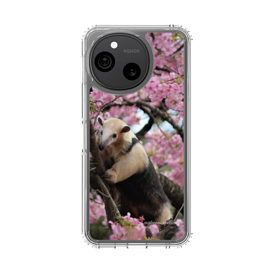 スリムプロテクションケース［ 伊豆アニマルキングダム - アリクイ ］