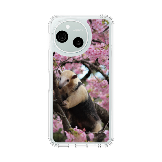 スリムプロテクションケース［ 伊豆アニマルキングダム - アリクイ ］