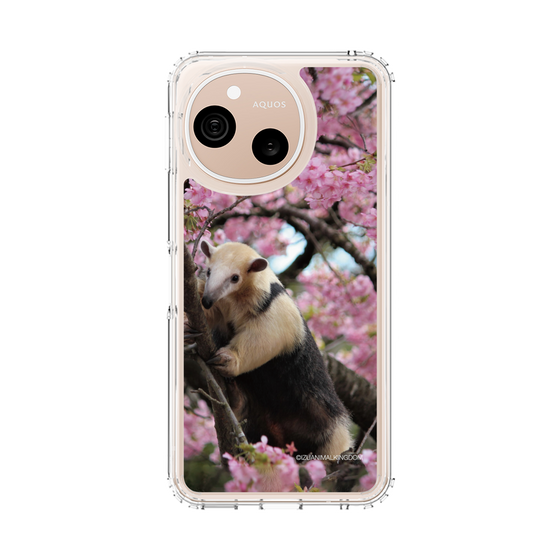 スリムプロテクションケース［ 伊豆アニマルキングダム - アリクイ ］