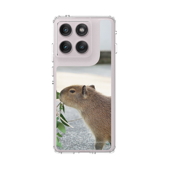 スリムプロテクションケース［ 伊豆アニマルキングダム - カピバラ ］