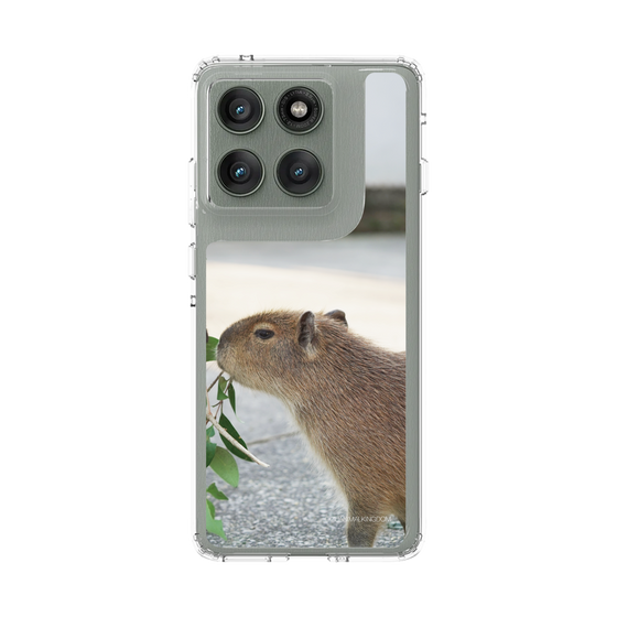 スリムプロテクションケース［ 伊豆アニマルキングダム - カピバラ ］