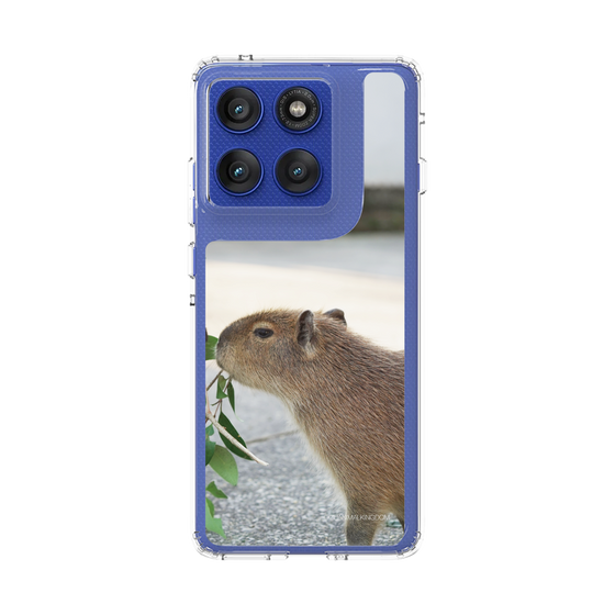 スリムプロテクションケース［ 伊豆アニマルキングダム - カピバラ ］