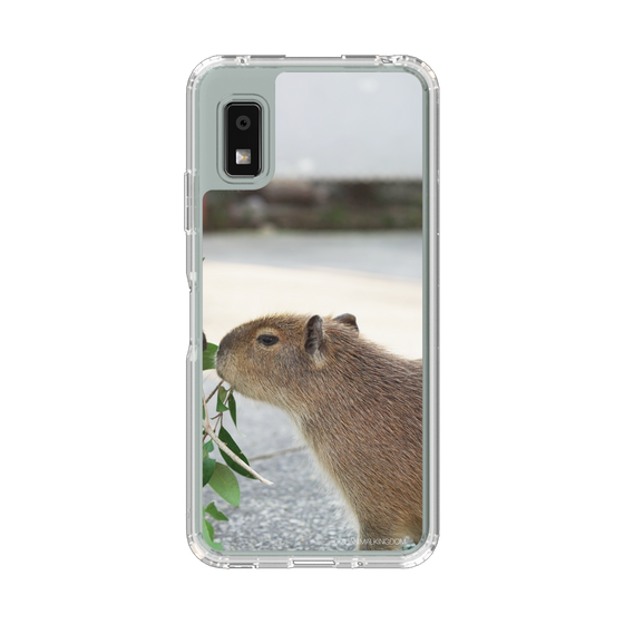 スリムプロテクションケース［ 伊豆アニマルキングダム - カピバラ ］