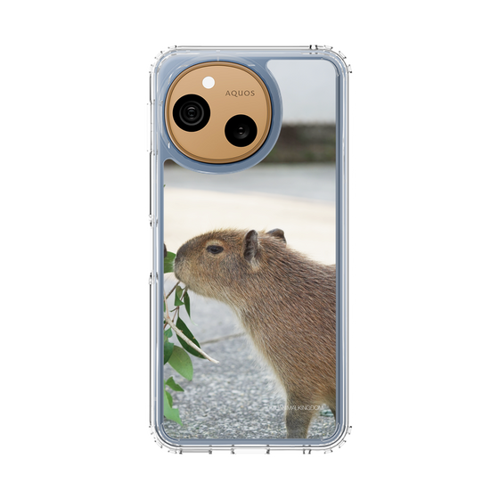 スリムプロテクションケース［ 伊豆アニマルキングダム - カピバラ ］