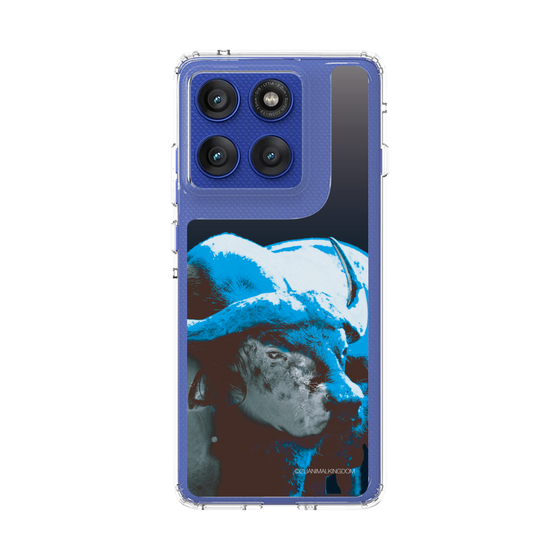 スリムプロテクションケース［ 伊豆アニマルキングダム - バッファロー ］