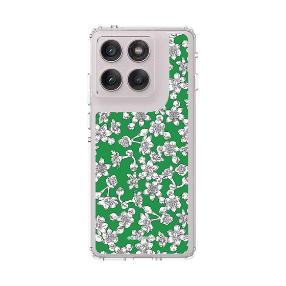 スリムプロテクションケース［ 日比谷花壇 - 佐賀県 クス ］