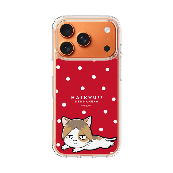 スリムプロテクションケース［ ハイキュー!! - ケンマネコ ］