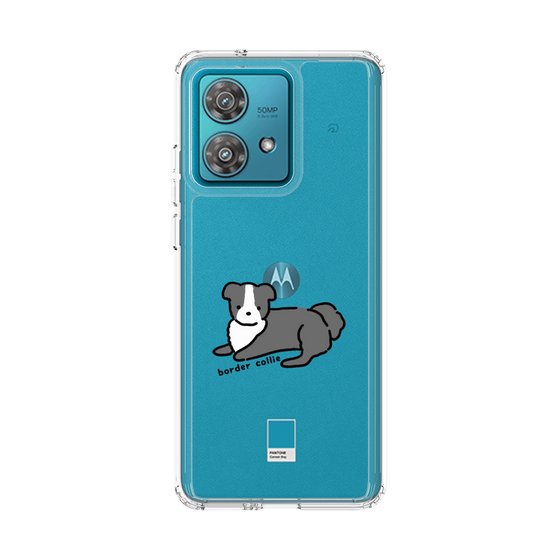 スリムプロテクションケース［ オリジナル - CASEPLAYイヌ - border collie ］