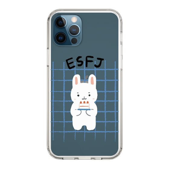 スリムプロテクションケース［ オリジナル - ESFJ 領事 - キャラクター ］