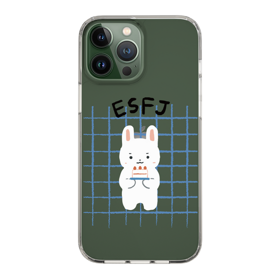 スリムプロテクションケース［ オリジナル - ESFJ 領事 - キャラクター ］