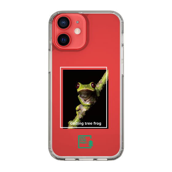 スリムプロテクションケース［ Green Future Project - Gliding tree frog ］