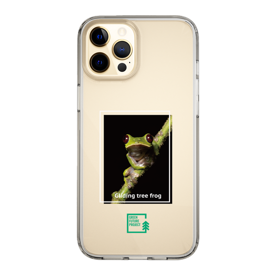 スリムプロテクションケース［ Green Future Project - Gliding tree frog ］
