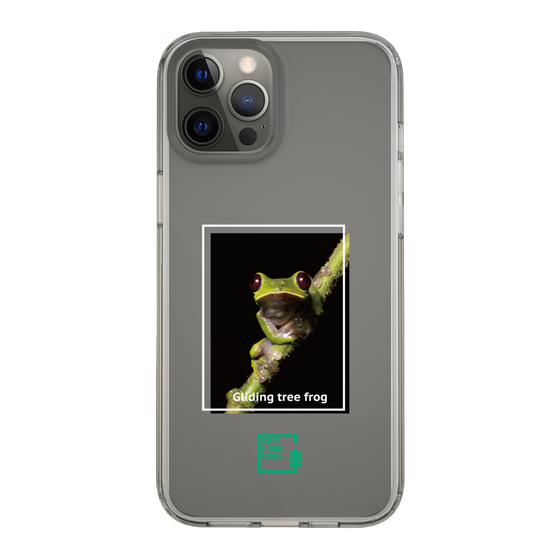 スリムプロテクションケース［ Green Future Project - Gliding tree frog ］