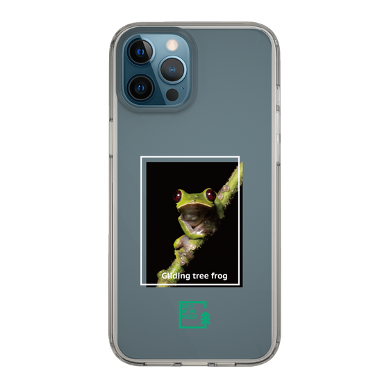 スリムプロテクションケース［ Green Future Project - Gliding tree frog ］