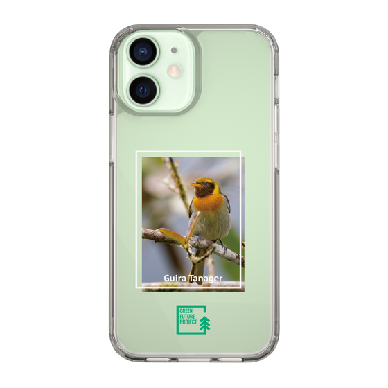 スリムプロテクションケース［ Green Future Project - Guira Tanager ］